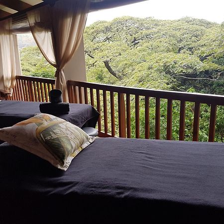 Honeywood Forest Lodge Port Shepstone Esterno foto