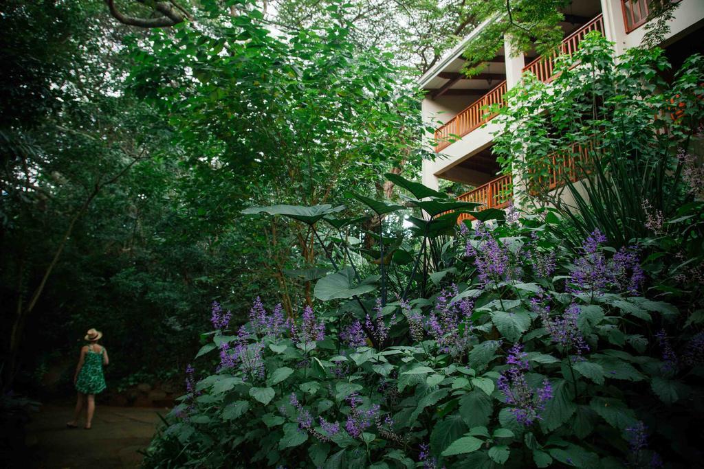 Honeywood Forest Lodge Port Shepstone Esterno foto
